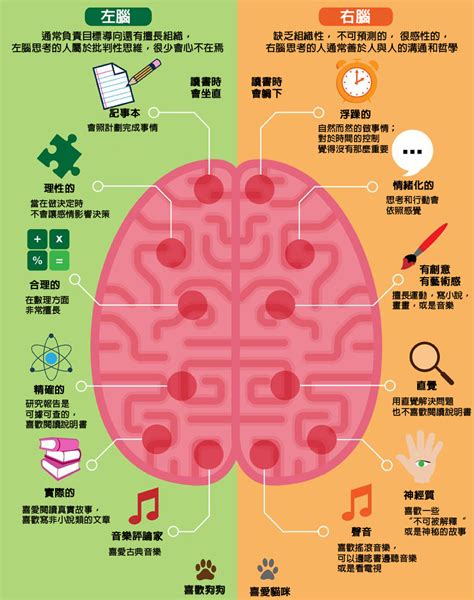 右腦適合工作|未來屬於全腦思考的人才